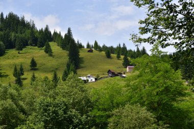 Karpatya 'nın kara dağlarındaki raesz köyü.