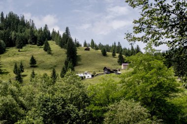 Yaz günü bulutların üzerinde yeşil ağaçlar ve dağlar.