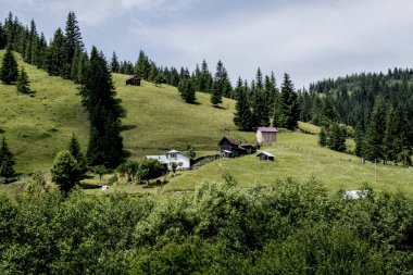 Karpat dağlarındaki Bohinv dağ köyü..