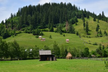 Karpatlar. Dağlarda yaz manzarası.