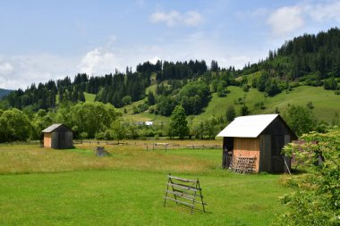 Ormanda küçük ahşap bir ev manzarası.