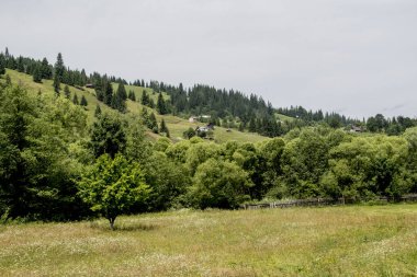 Karpatlar'ın dağ manzarası