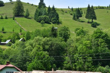 Tepenin tepesinden manzara