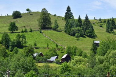 Güneşli bir günde dağları ve ormanı olan yeşil çayır..