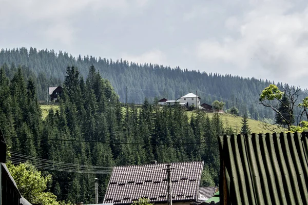 Doğanın güzel manzarası