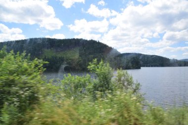 Bulutlu gökyüzünün altında yeşilliklerle çevrili yeşil bir ormanın güzel bir görüntüsü.