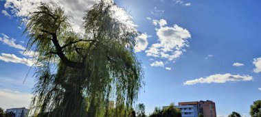 Şehir parkının güzel manzarası