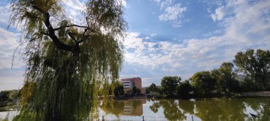 Şehir parkının güzel manzarası