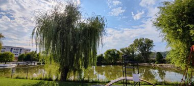 Parkın güzel manzarası