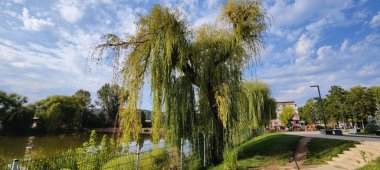 Şehrin en güzel parkı.