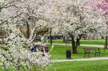 BIALOGARD, BATI POMERANYA / POLAND - 2019: Şehrin sakinleri çiçek açan bir bahar şehir parkında dinleniyor