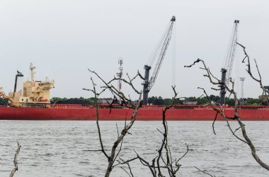 BULK Taşıyıcı - Bir limandaki transhipment terminalinde ticaret gemisi