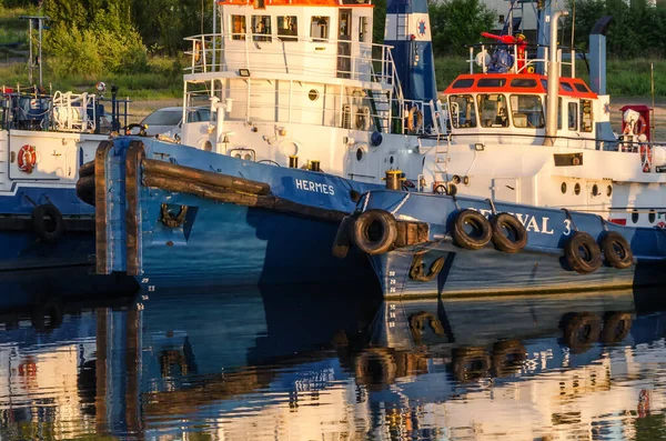 Szczecin West Pomeranian Poland 2020 Tug Fleet Moored Port Quay — Stock Photo, Image