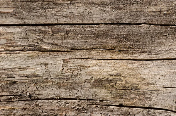 Holz Risse Auf Einer Holzoberfläche — Stockfoto