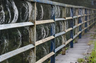 COBWEB - Nehir üzerindeki köprünün raylarında vahşi yaşam