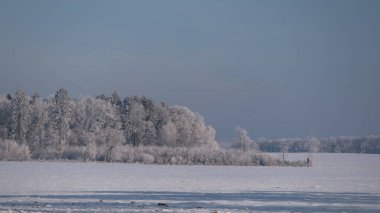 PICTURESQUE KIŞ LANDSCAPE - Tarlalarda kar ve ağaçlarda don