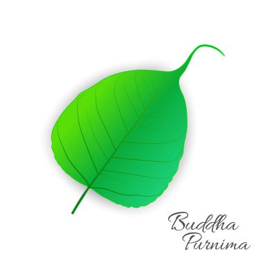 Hindistan ve Nepal 'de Guru Purnima olarak adlandırılan kutsal incir ya da Pipal yaprağı Buda Purnima ya da Vesak günü vektör çizimi.
