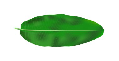 Mutlu Onam çok ünlü bir Güney Hindistan festivali. Kathakali, Kerala Hindistan 'ın klasik dansını tasarladı.