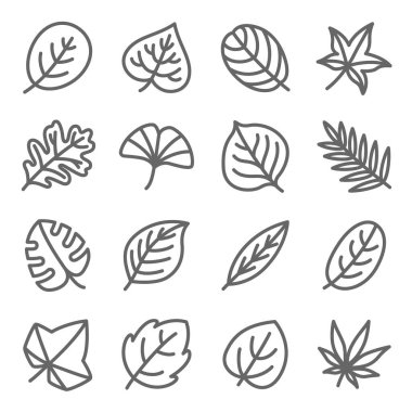 Yaprak ikonu vektör illüstrasyonu ayarlandı. Ginko, Leaf, Autumn, yapraklar, Aloe, Botanik ve daha fazlası gibi ikonlar içerir. Genişletilmiş Vuruş