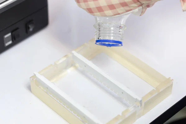 Polymerase Chain Reaction Pcr Agarose Gel Electrophoresis Jest Metodą Gel — Zdjęcie stockowe