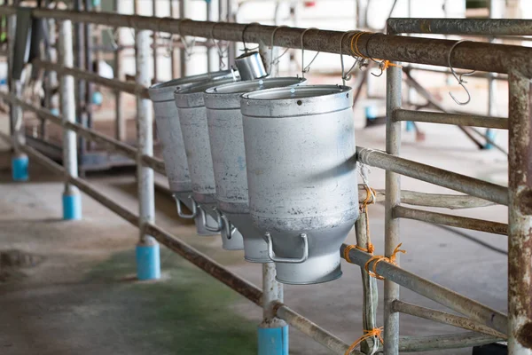 Worker pouring milk into a container for transform.