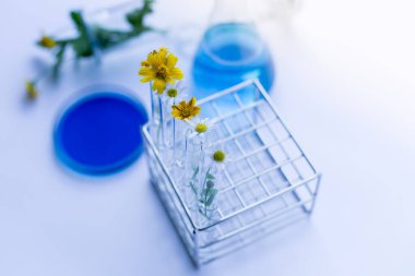 Laboratuvarda deney kimyasalı laboratuvar ekipmanlarının toplanması.