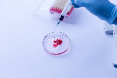 Laboratuvarda deneysel araştırma analizi.