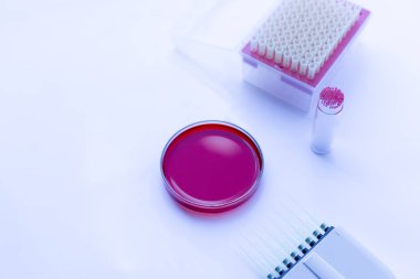 Laboratuvarda deneysel araştırma analizi.