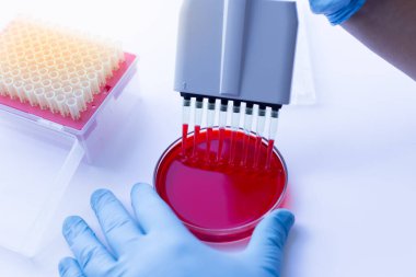 Laboratuvarda deneysel araştırma analizi.