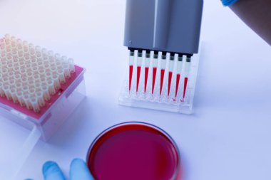 Laboratuvarda deneysel araştırma analizi.