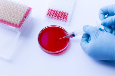 Laboratuvarda deneysel araştırma analizi.