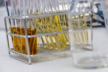 Biyolojik güvenlik dolapları laboratuvarında mikrobiyal testler yapan bilim adamı..