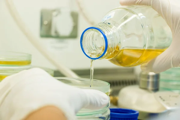 Cientista Realizando Testes Microbianos Laboratório Armários Segurança Biológica — Fotografia de Stock