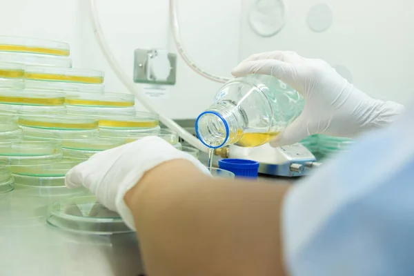 Scientist performing microbial tests in Biological safety cabinets lab.