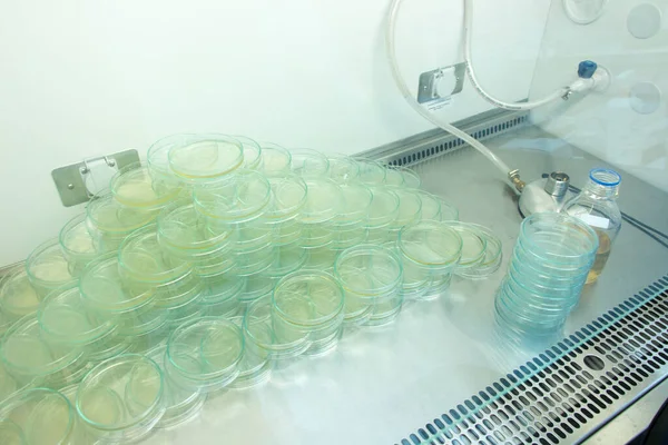 Wissenschaftler Führt Mikrobielle Tests Labor Für Biologische Sicherheitsschränke Durch — Stockfoto