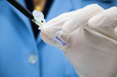 Polimeraz zincir reaksiyonu (PCR) ve Agarose gel elektroforezi laboratuvarda biyokimya, moleküler biyoloji, genetik ve klinik kimyada kullanılan bir jel elektroforez metodudur..