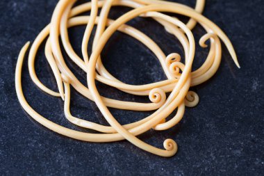 Ascariasis, parazit yuvarlak kurt Ascaris lumbrikoidlerinin laboratuarlarda eğitim için neden olduğu bir hastalıktır..