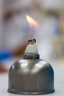 Laboratuvarda iyotla enfeksiyon mikrobiyolojisi test ediliyor..