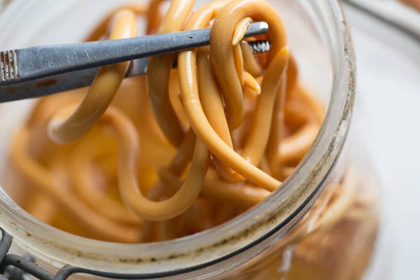 Ascariasis, parazit yuvarlak kurt Ascaris lumbrikoidlerinin laboratuarlarda eğitim için neden olduğu bir hastalıktır..