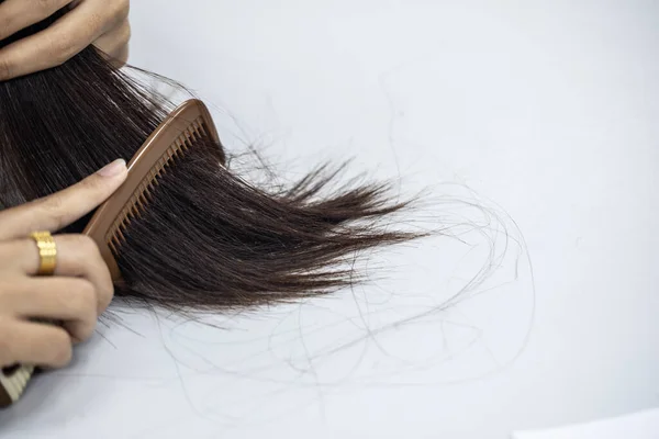 Problem of Young woman hair loss, with thin hair.