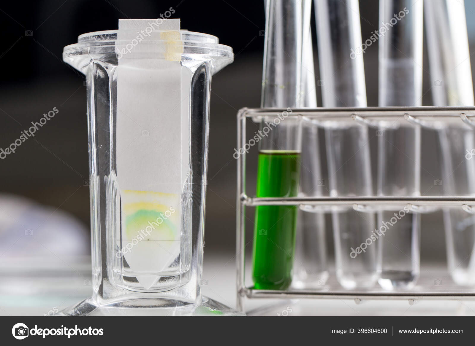Study Chromatography Used Separate Components Plant — Stock Photo © p