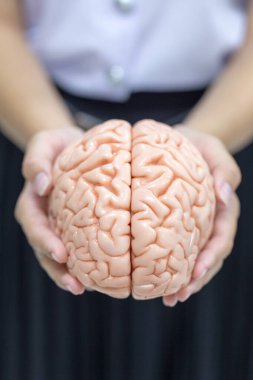 Laboratuvarda beyin modeli ve ilaç.