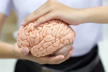 Laboratuvarda beyin modeli ve ilaç.