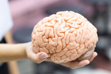 Laboratuvarda beyin modeli ve ilaç.