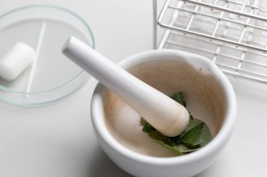 Kromatografi çalışmaları bir bitkinin bileşenlerini ayırmak için kullanılır.