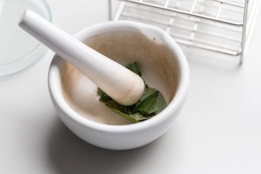 Kromatografi çalışmaları bir bitkinin bileşenlerini ayırmak için kullanılır.