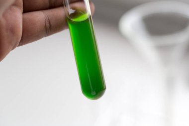 Kromatografi çalışmaları bir bitkinin bileşenlerini ayırmak için kullanılır.