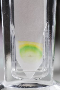 Kromatografi çalışmaları bir bitkinin bileşenlerini ayırmak için kullanılır.