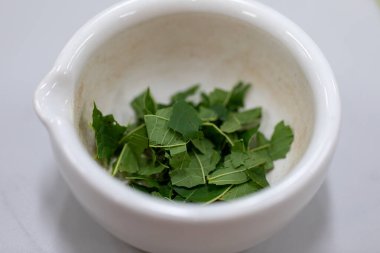 Kromatografi çalışmaları bir bitkinin bileşenlerini ayırmak için kullanılır.