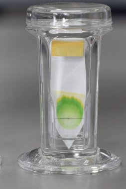 Kromatografi çalışmaları bir bitkinin bileşenlerini ayırmak için kullanılır.